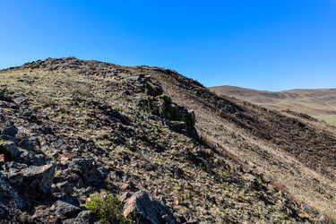 Similar image 21937518