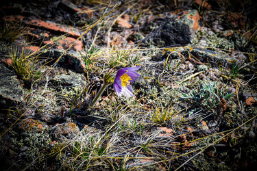 Similar image 21937519