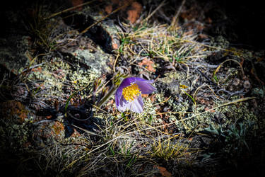 Similar image 21937520