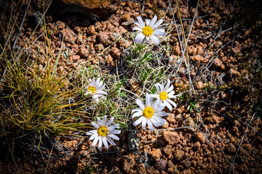 Similar image 21937523