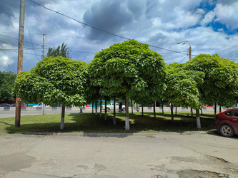 Similar image 21948415