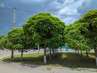 Similar image 21948416