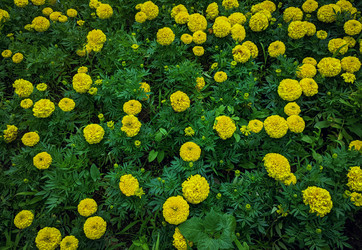 Similar image 21948417