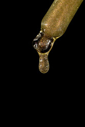 Similar image 21937532