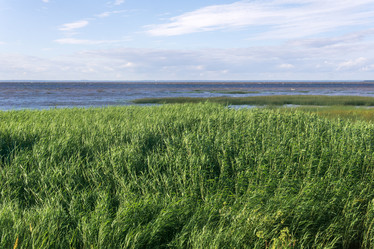 Similar image 21942417