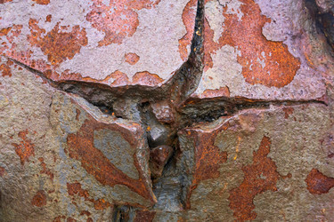 Similar image 21942424