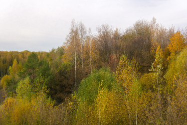 Similar image 21942431