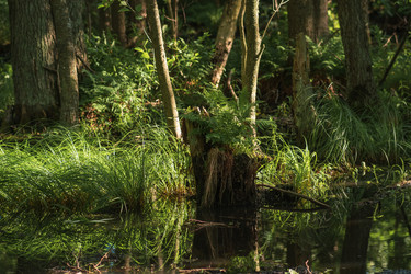 Similar image 21942864