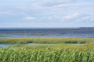 Similar image 21942865