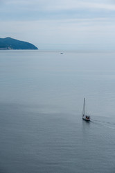 Similar image 21937544