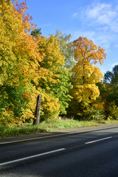 Similar image 21938185