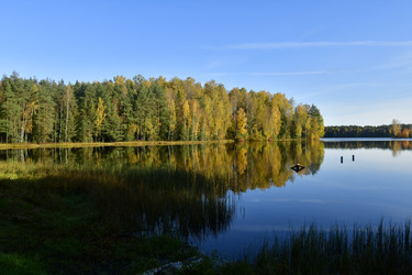 Similar image 21938190