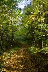 Similar image 21938192