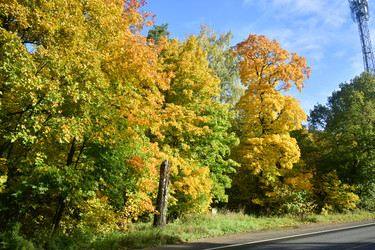 Similar image 21938194