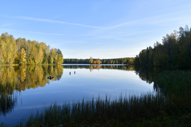 Similar image 21938197