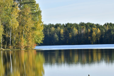 Similar image 21938204