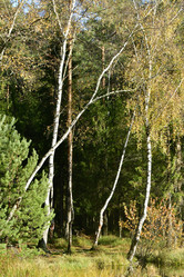 Similar image 21938406