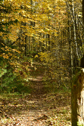 Similar image 21938412