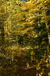 Similar image 21938417