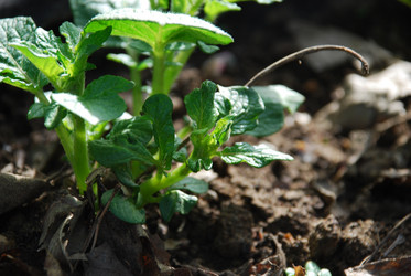 Similar image 21943005