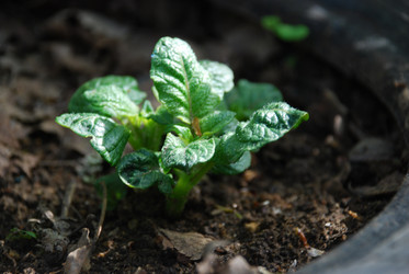 Similar image 21943007