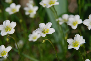 Similar image 21943008