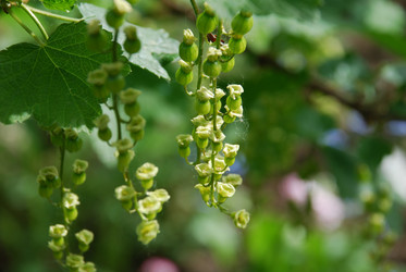 Similar image 21943009