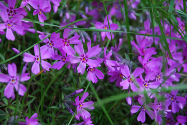 Similar image 21943010