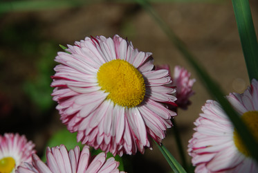 Similar image 21943011