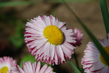 Similar image 21943015