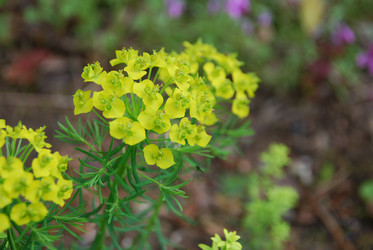 Similar image 21943016