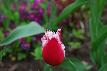 Similar image 21943018