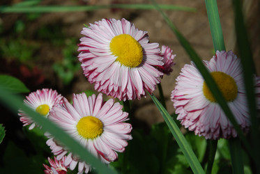 Similar image 21943019