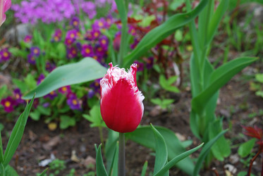 Similar image 21943020