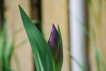 Similar image 21943021