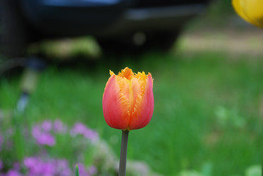 Similar image 21943022