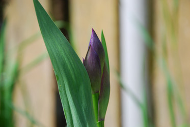 Similar image 21943023