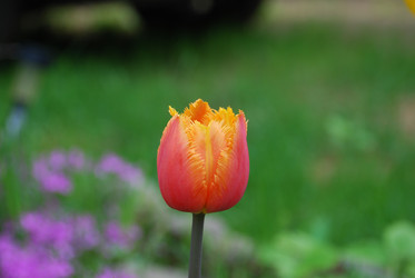 Similar image 21943024