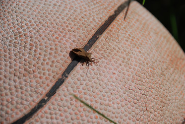 Similar image 21943025