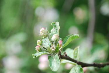 Similar image 21943026