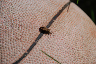 Similar image 21943027