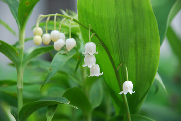 Similar image 21943028