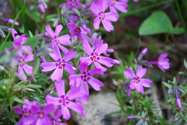 Similar image 21943029