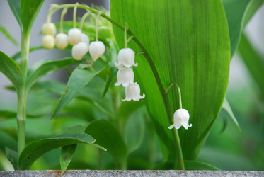 Similar image 21943030