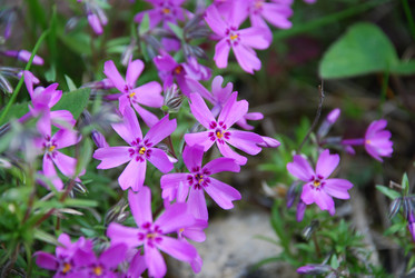 Similar image 21943031