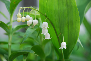 Similar image 21943032