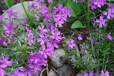 Similar image 21943033