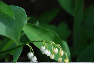 Similar image 21943034