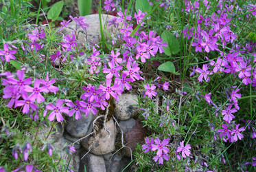 Similar image 21943035