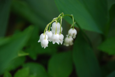 Similar image 21943036